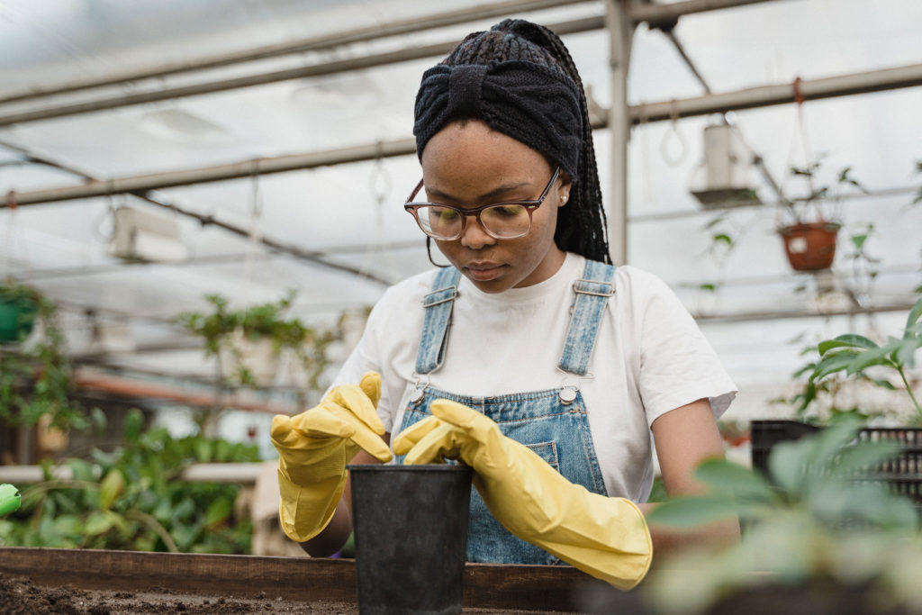 Young Black woman planting inside a greenhouse